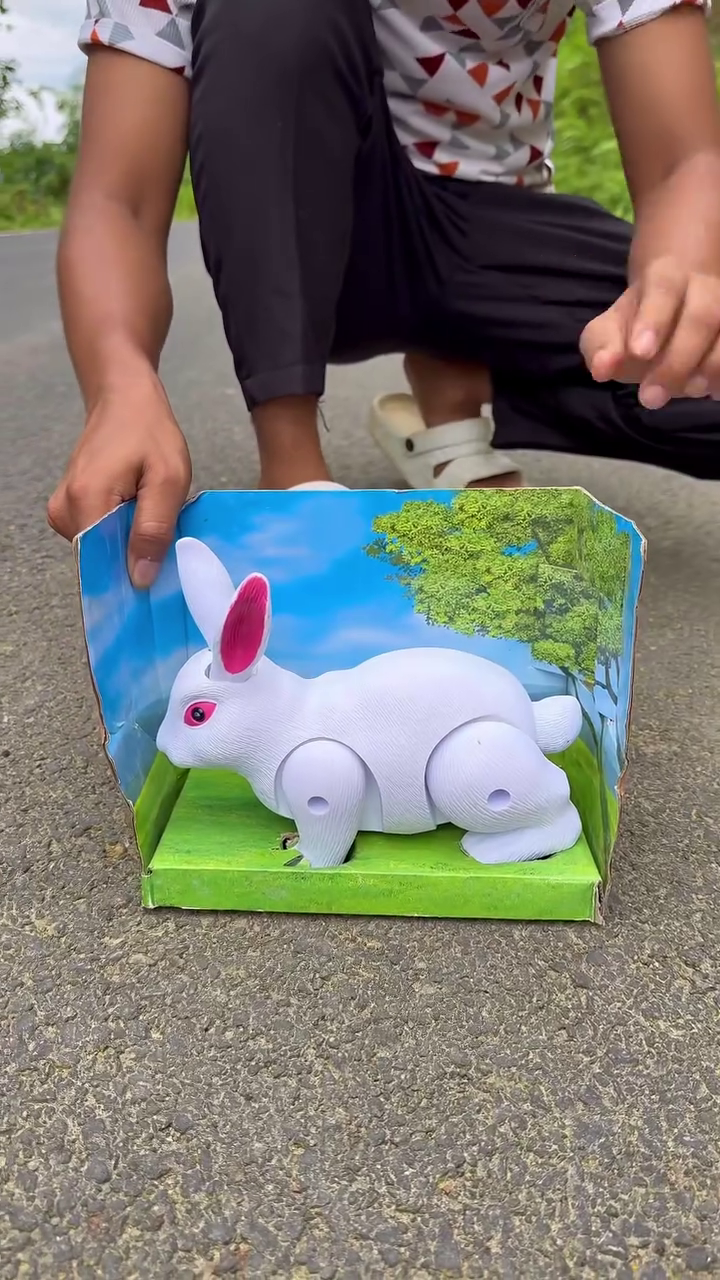 Cute Walking Rabbit Toy – Fun Interactive Toy for Kids
