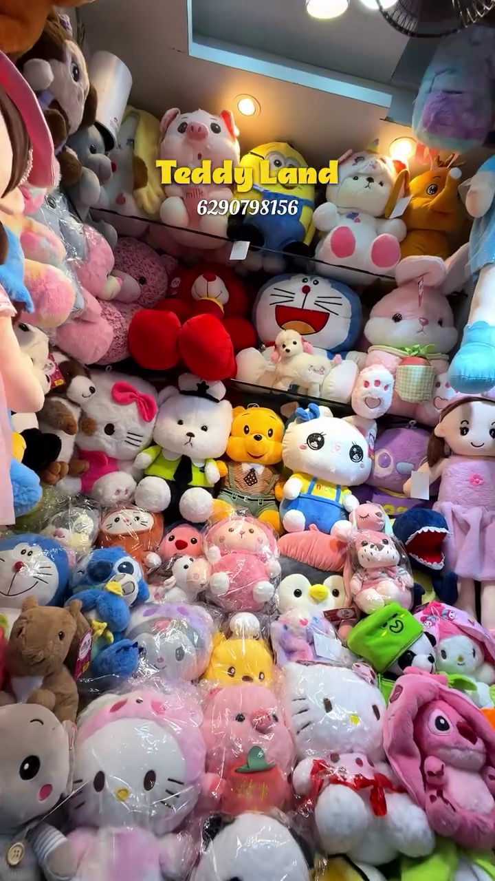 Colorful Plush Toy Collection – Soft & Adorable Cuddle Companions