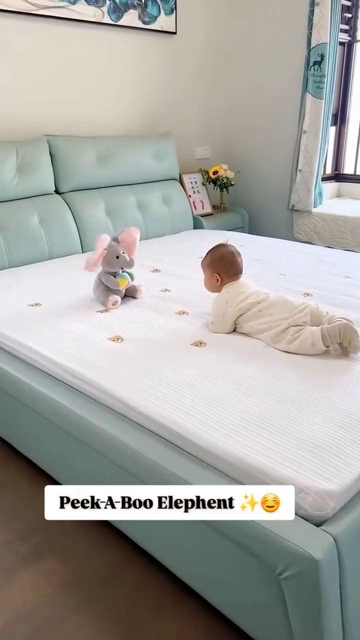 Peek-A-Boo Elephant Plush – Adorable Interactive Toy