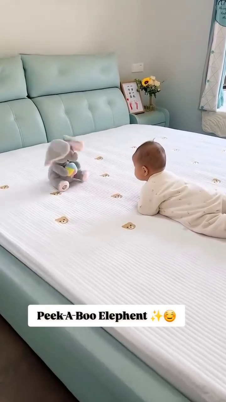 Peek-A-Boo Elephant Plush – Adorable Interactive Toy